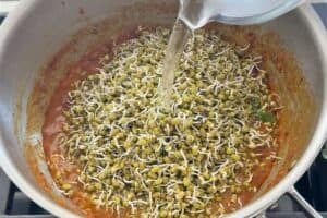pouring water over moong sprouts and curry mixture in a pan