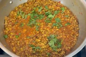 moong bean sprouts curry in a pan garnished with cilantro