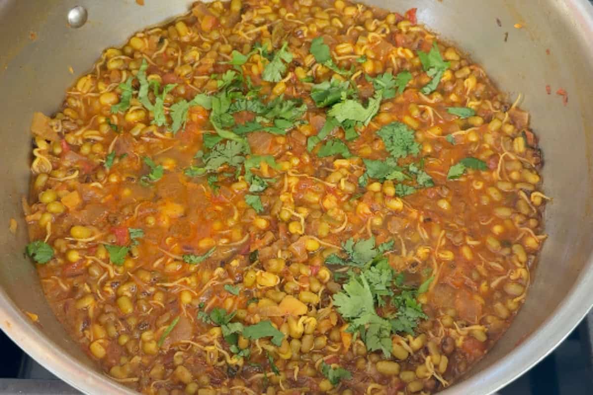 moong bean sprouts curry in a pan garnished with cilantro